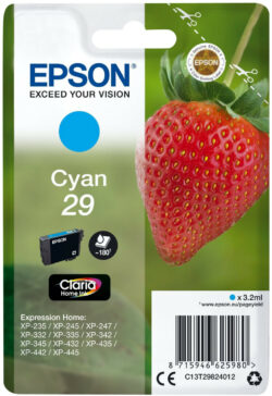 Epson 29 C