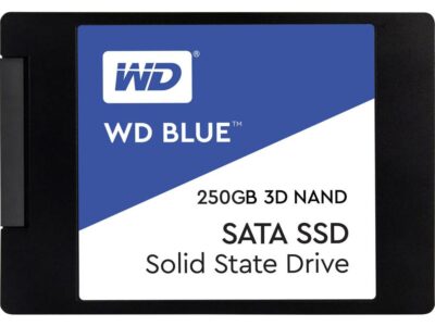 WD Blue 250GB Solid State Drive